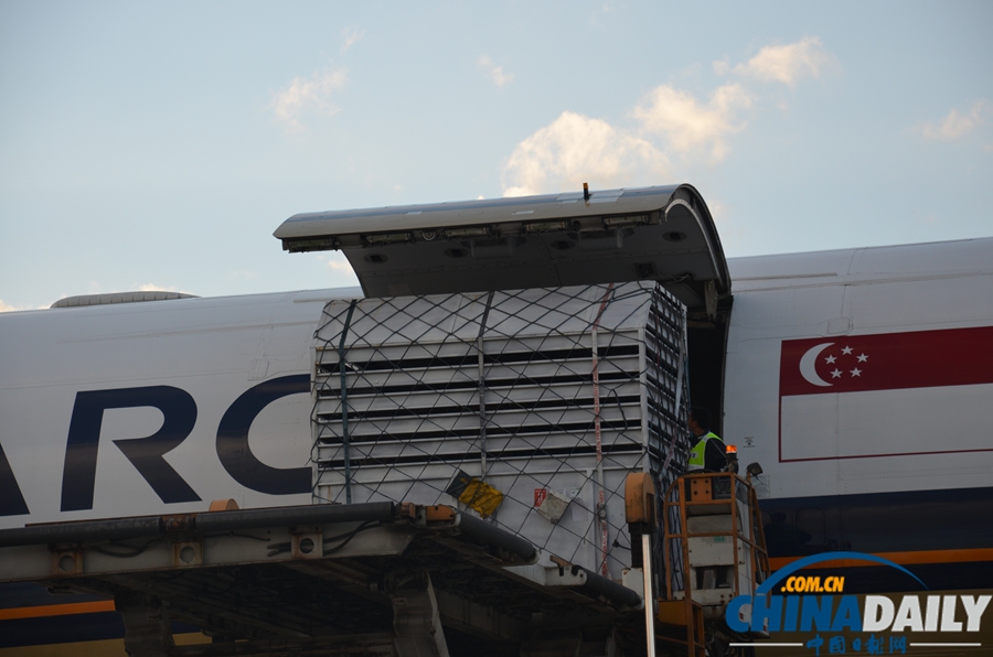 23位南非“高富帥” 昨日長水機場落地