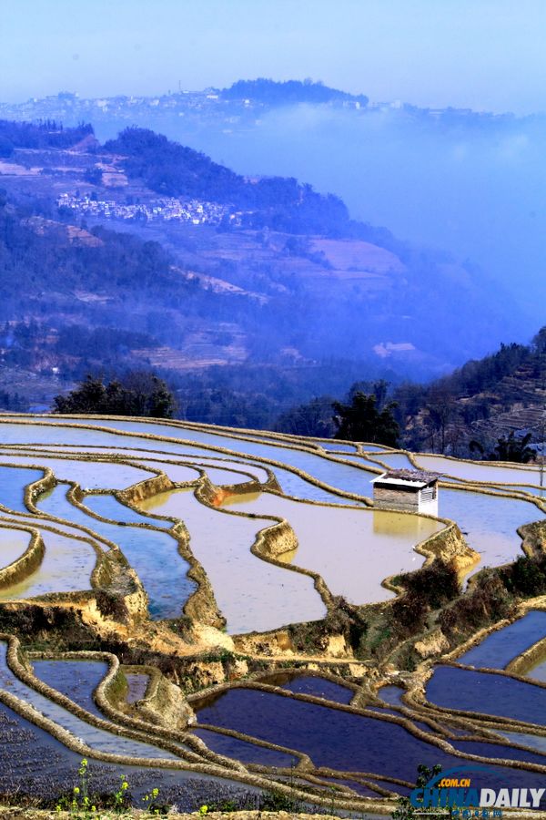 云南元陽(yáng)自駕攝影之旅：哈尼梯田三月春夢(mèng)幻