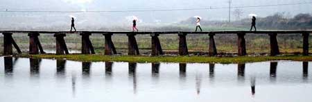 探訪幸福美麗新農村