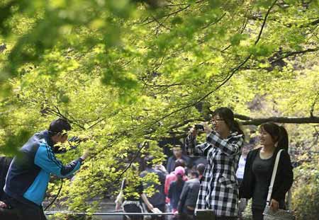 清明時節雨 春意醉游人