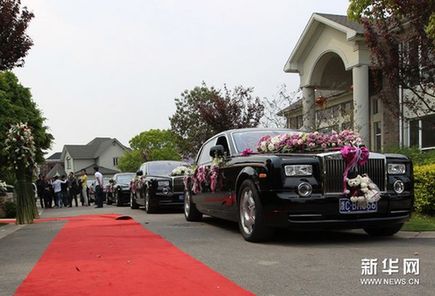 豪華婚車隊