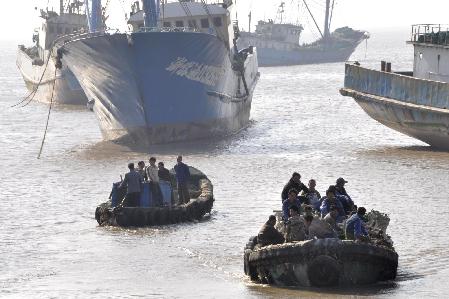 東海5月1日起進入休漁期