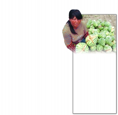 農(nóng)戶西瓜成熟前5天炸6千多斤 疑因用增甜劑