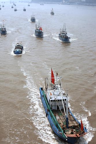 東海漁船開捕海蝦