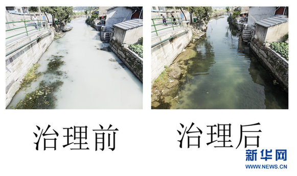 浙江紹興開始整治“牛奶河”
