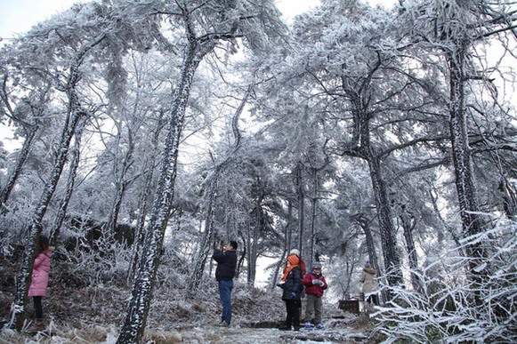 莫干山現(xiàn)霧凇美景