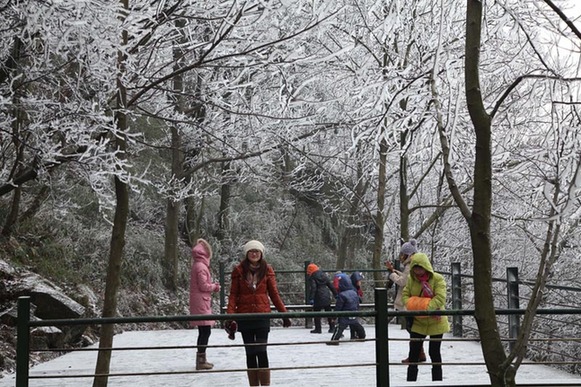 莫干山現霧凇美景