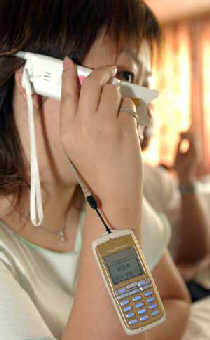 Cut-price 'Little Smart' a big hit in China