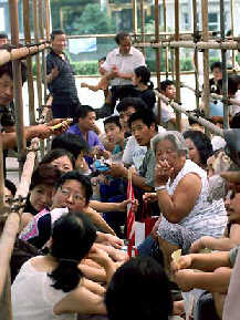 Survey: House price rises slow down