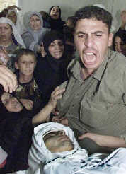 Report from Rafah: Death of a town