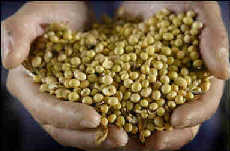 Big deals inked in US mission