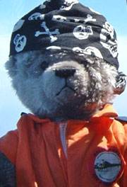 Teddy bear astronaut to lift off