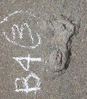 Footprints of 'first Americans'