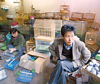 The World Health Organization said Monday that it would help China investigate possible human cases of bird flu, while Chinese officials stepped up anti-flu measures, destroying six million fowl and closing all 168 live poultry markets in Beijing.