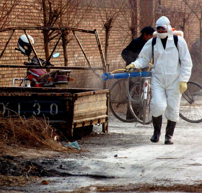 China issued strict new rules on reporting animal epidemics as it said deadly bird flu had been detected in two new locations, bringing the total number of confirmed outbreaks in the country over the past month to 17.