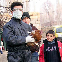 A veterinary worker holds poultry as locals stand next to him in Dogubayazit, a remote, rural area near Turkey's border with Armenia January 1, 2006. Six people in eastern Turkey, four of them children, are being tested for possible avian influenza or bird flu, the state Anatolian news agency said on Sunday. The agency said a 35-year-old woman and a five-year old child had been sent to hospital on Sunday in the eastern city of Van, near the Iranian border.