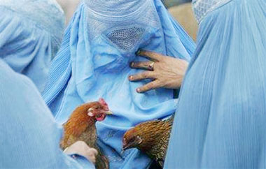 An Afghan woman (C) sells chicken on a street in Kabul, Afghanistan on March 13, 2006. The H5 type of bird flu has been found in five birds in Afghanistan but the sub-type of the virus is not yet known, the government and the United Nations said on Monday.