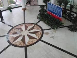 Writing the DNA story in the life