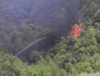 Cypriot plane crash kills 121, 48 children