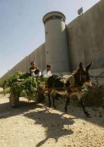 Sharon, Peres seek coalition for Gaza pullout