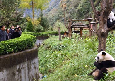 Lien Chan visits Wolong giant panda research center