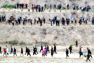 Tree-planting in Xi'an