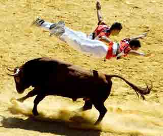 Spain's amazing bull leapers<BR>藝術家'飛牛'照曝光