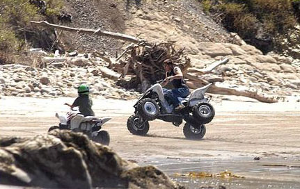 Brad Pitt's action-packed day with Maddox