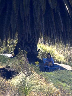 Brad Pitt's action-packed day with Maddox