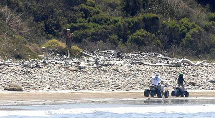 Brad Pitt's action-packed day with Maddox