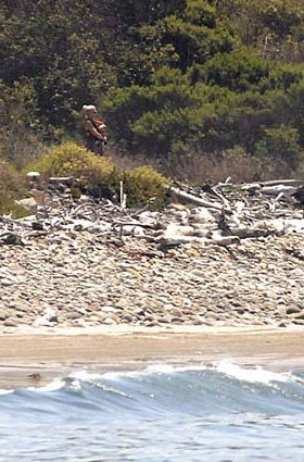 Brad Pitt's action-packed day with Maddox