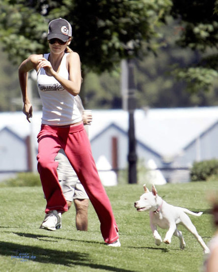 Jessica Alba plays with her dog