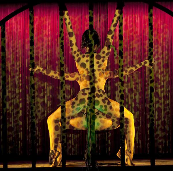 Giddy up and get down!