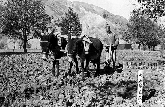 100 Photographers' focus on China - Politics