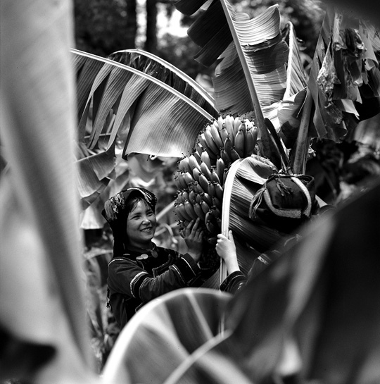 Hani ethnic group of China