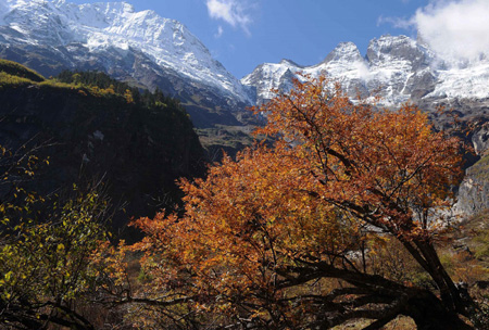 A view of the scenery at Yubeng village