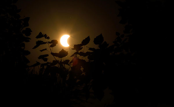 Rare social eclipse watched around China