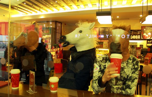 Horsing around for the New Year