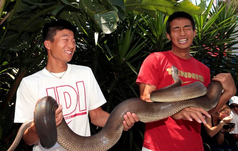 Melbourne Park fun before Australian Open