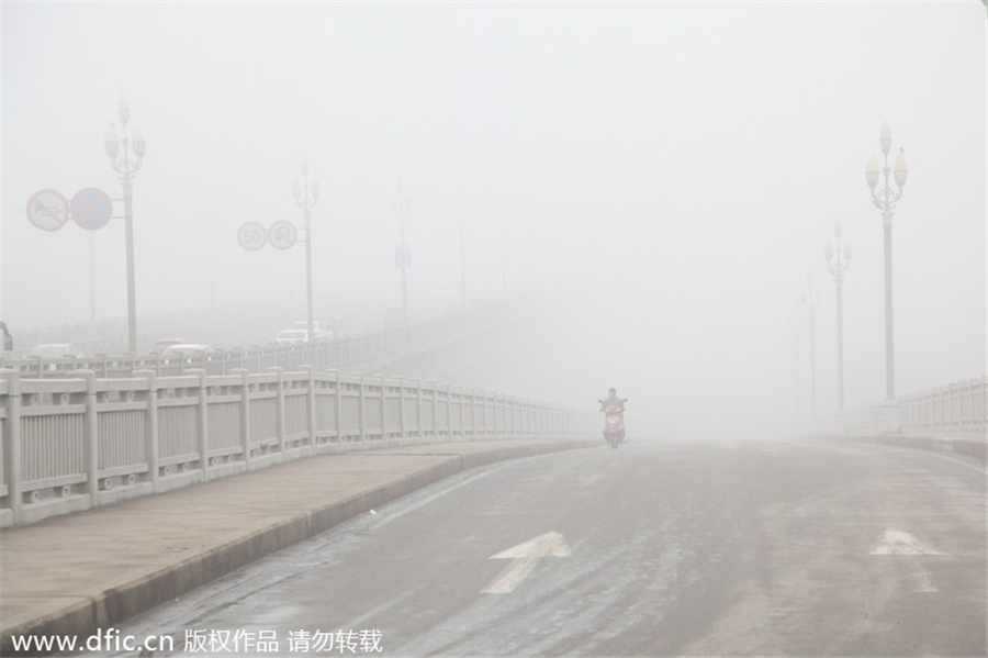 Festival travelers battle heavy fog