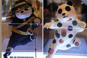 Wild panda spotted in Sichuan