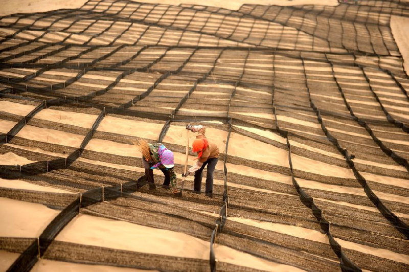 Weekly Photos: April 7 - 13