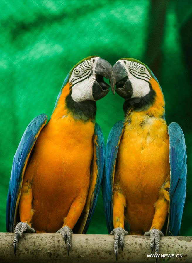 The world in photos: April 14-20