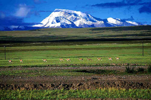 Tibet:the last paradise