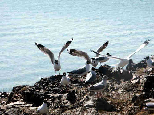 Tibet:the last paradise