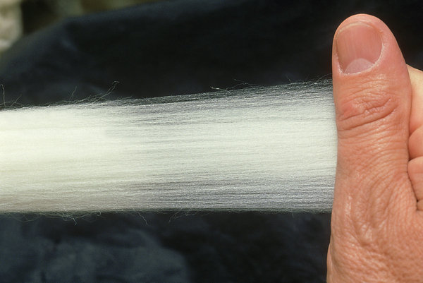 Ten things you should know about cashmere before you buy