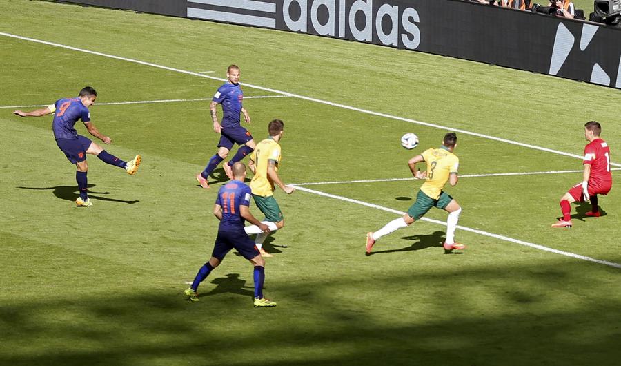 澳洲袋鼠死磕荷蘭