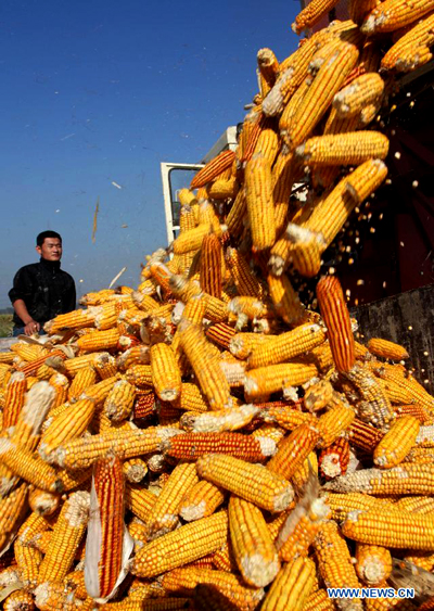 China greets harvest days for autumn crops