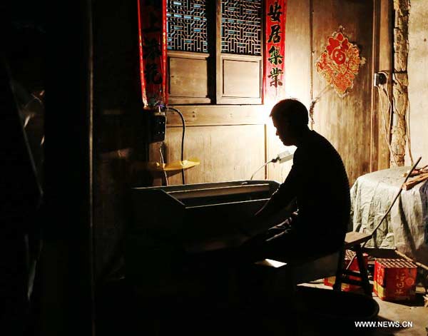 Organic tea plantations