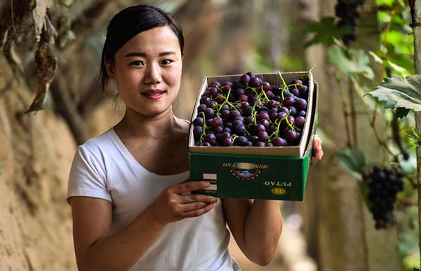 A bite of Belt and Road